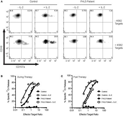 Bi-Allelic Mutations in STXBP2 Reveal a Complementary Role for STXBP1 in Cytotoxic Lymphocyte Killing